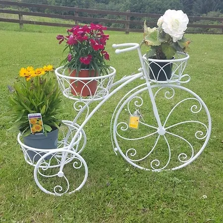 Sunny South East Semesterbostad Clashmore