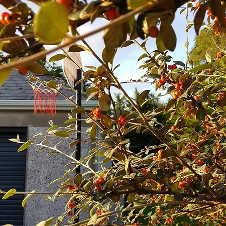 Sunny South East * Clashmore