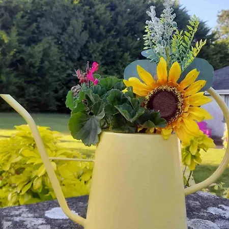 Semesterbostad Sunny South East *