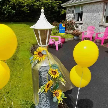 بيت للعطل Sunny South East Clashmore