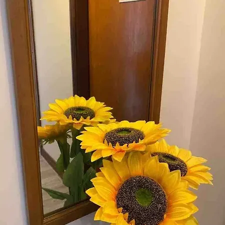 Σπίτι διακοπών Sunny South East *