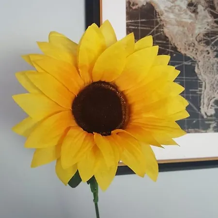 度假居 Sunny South East Clashmore