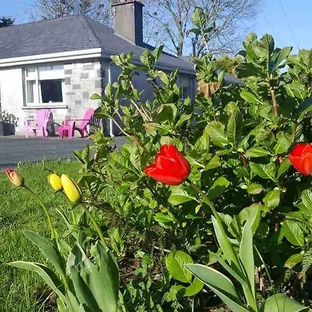 Sunny South East Clashmore