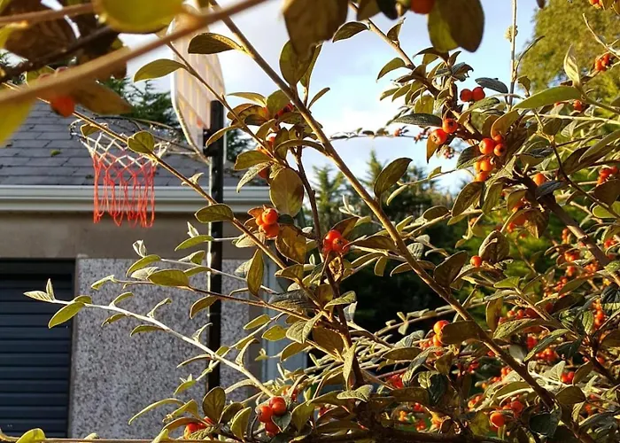 Sunny South East * Clashmore