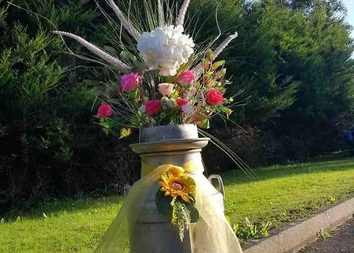 Sunny South East Vakantiehuis *