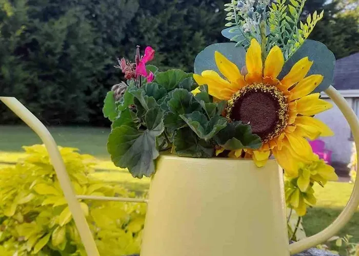 Vakantiehuis Sunny South East *