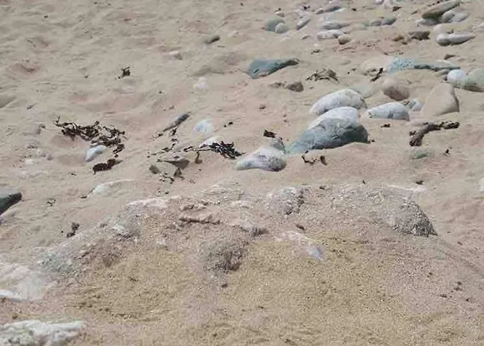 Sunny South East Vakantiehuis *