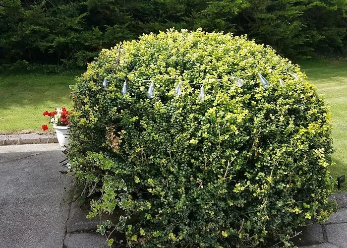 Vakantiehuis Sunny South East *