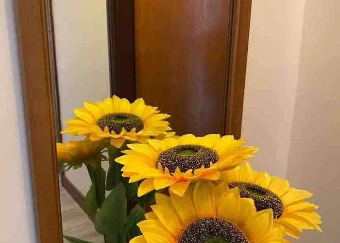 Vakantiehuis Sunny South East *