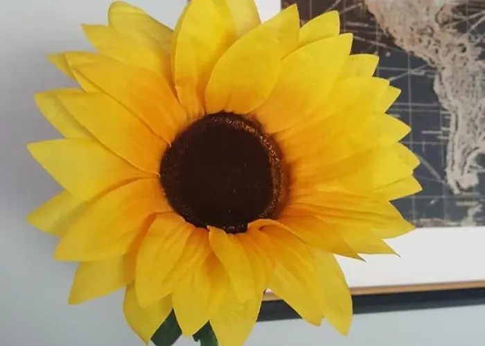 Vakantiehuis Sunny South East Clashmore