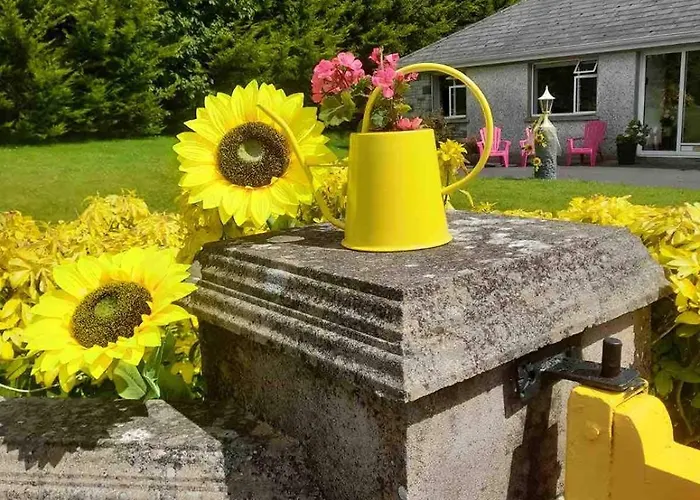 Sunny South East Vakantiehuis