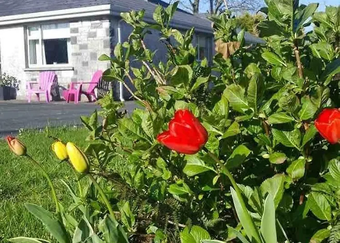 Sunny South East Clashmore