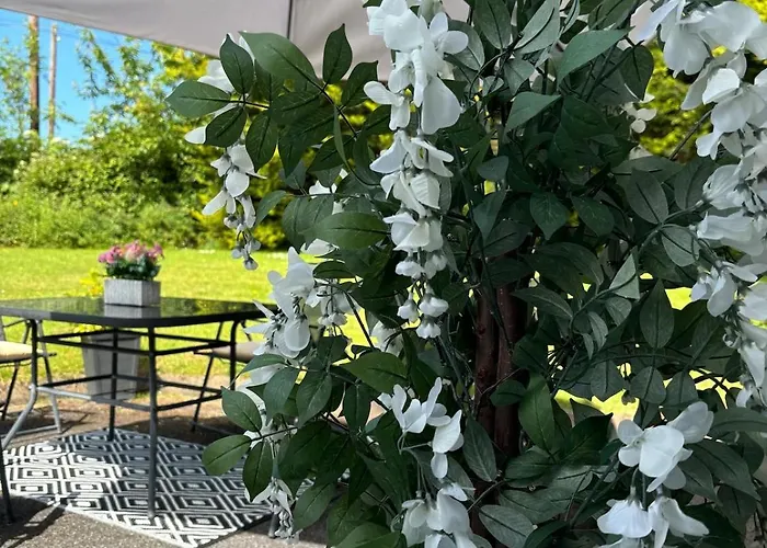 Vakantiehuis Sunny South East Clashmore